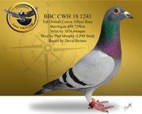 Cowra 100yrs Race 3rd BBC-CWH-18-1241